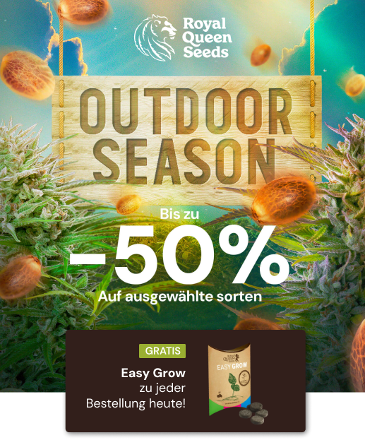 Outdoor 50%